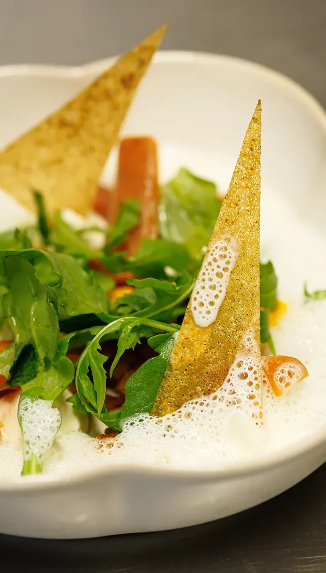 Découvrir notre histoire