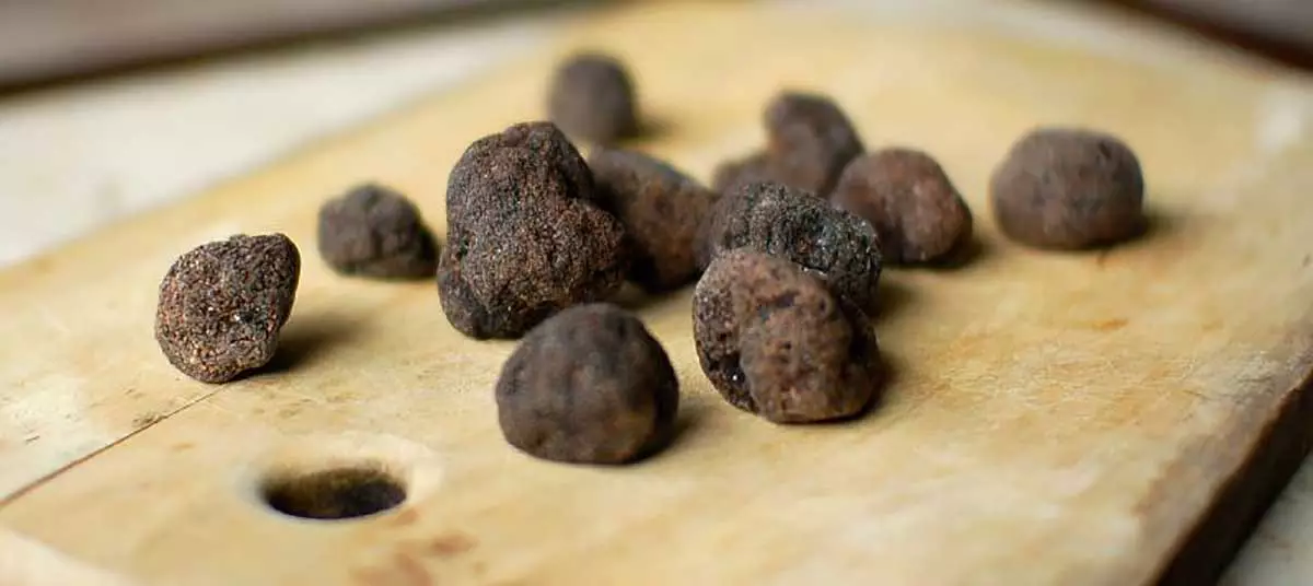 Menu tout en truffes au restaurant Léonie à Biarritz
