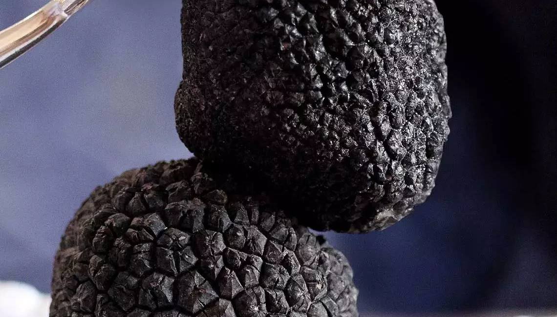 La Soirée Truffe revient au restaurant Léonie à Biarritz