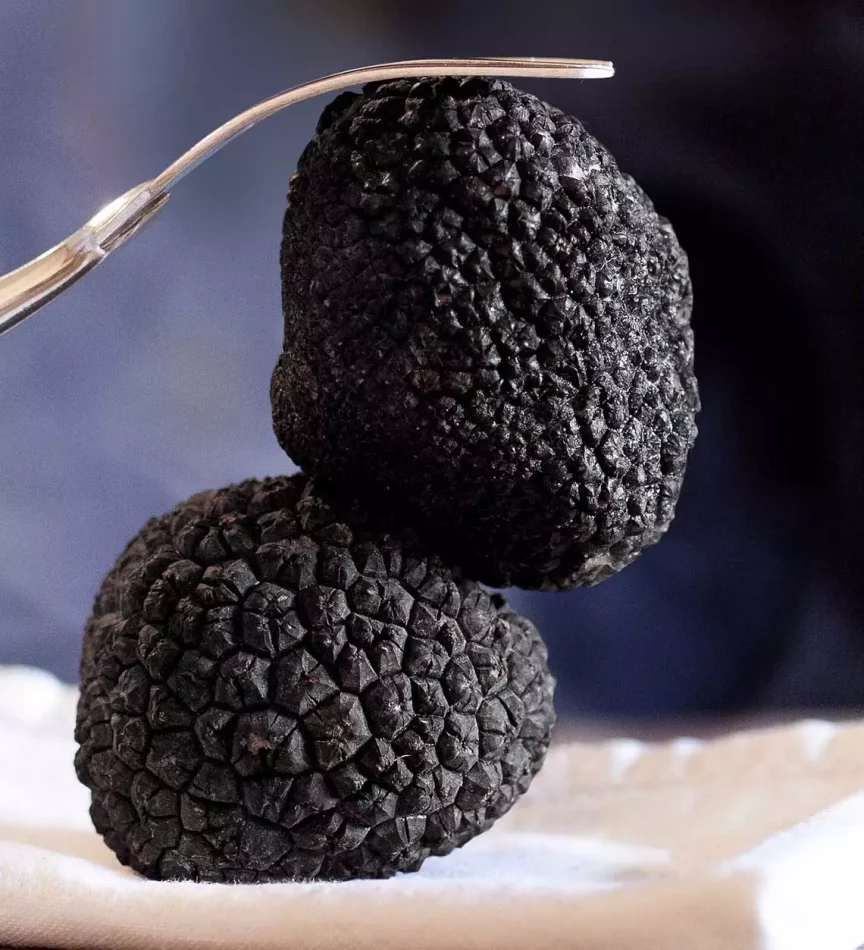 La Soirée Truffe revient au restaurant Léonie à Biarritz